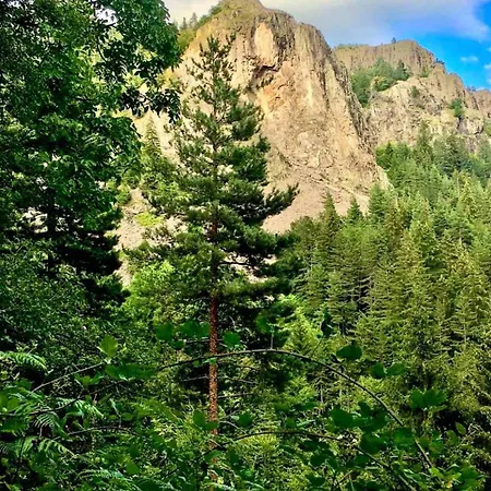 Villa Luxury In The Pines *
