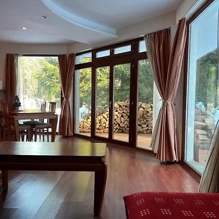 Villa Luxury In The Pines Pamporovo
