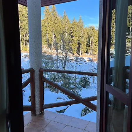 Luxury In The Pines Villa Pamporovo